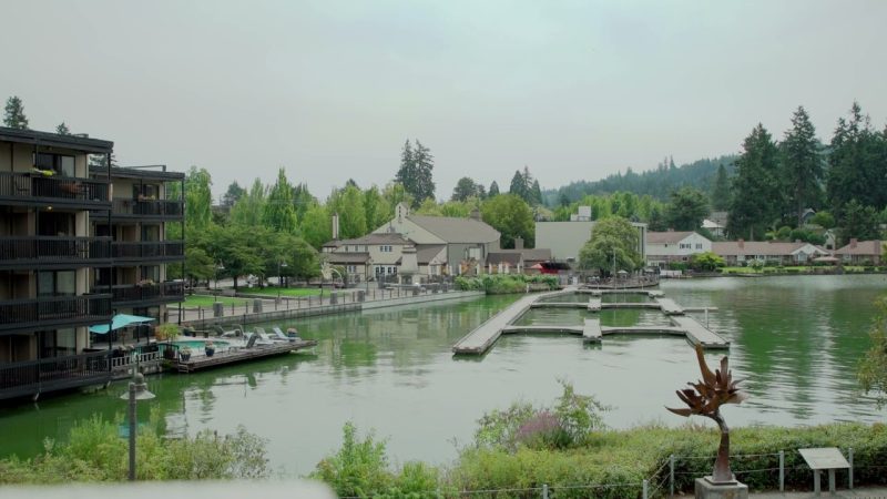 Exploring the Essence of Synergy Lake Oswego: A Tapestry of Community and Connectivity